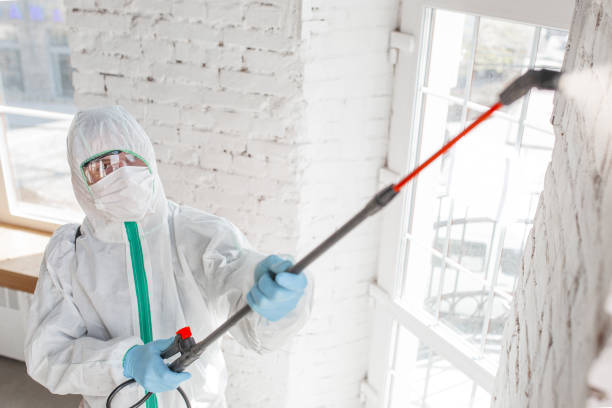 Best Emergency Mold Remediation  in Oneonta, AL